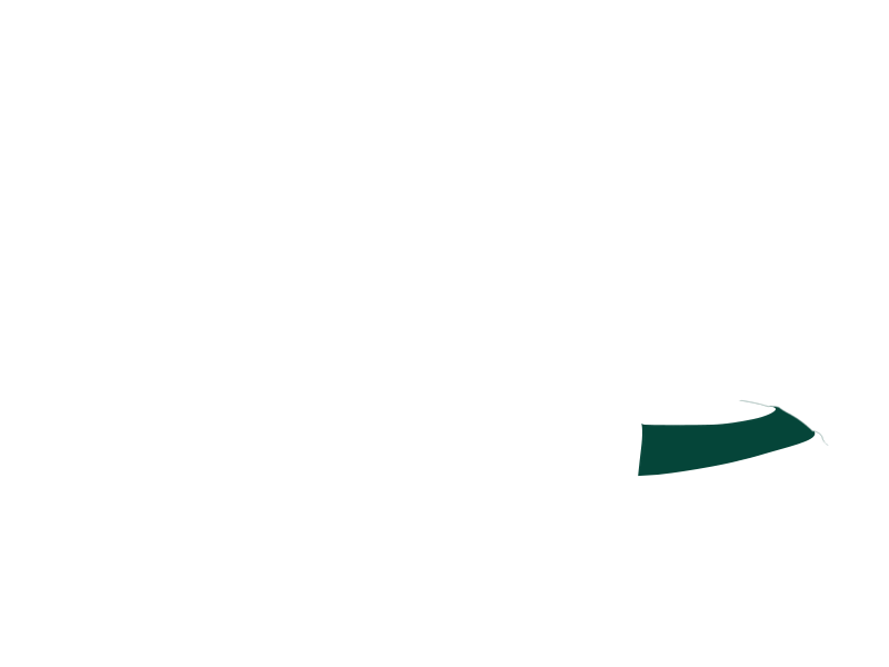 SERPENTINE LEATHER