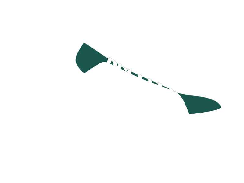 SERPENTINE LEATHER