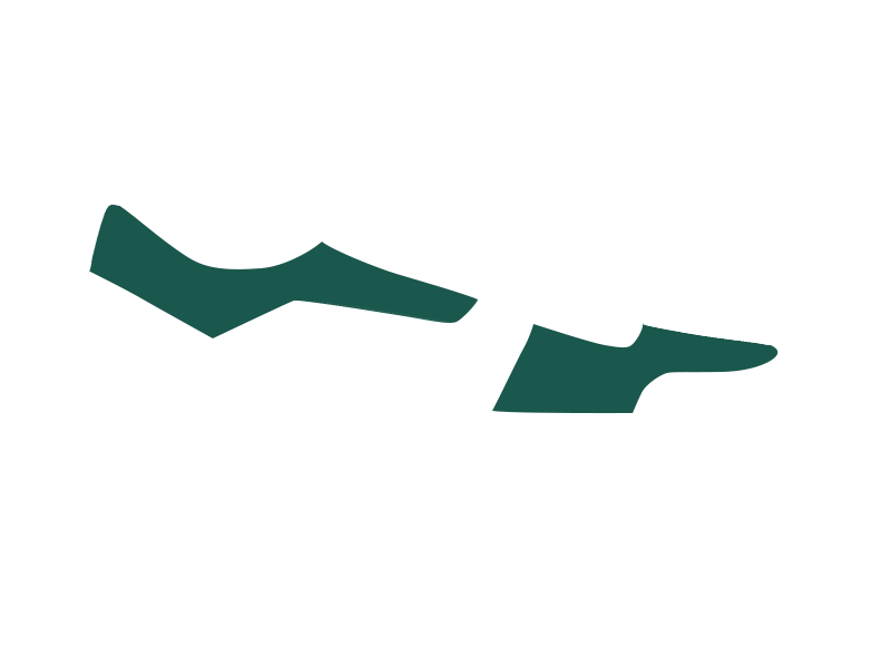 Serpentine Leather