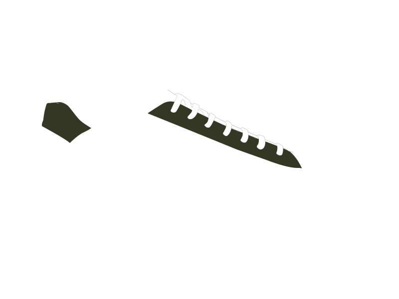 BIRCH LEATHER