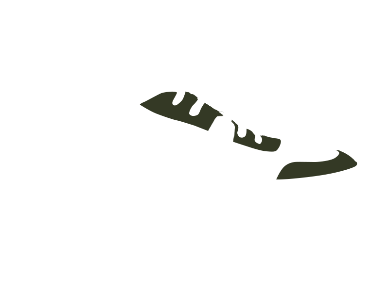 BIRCH LEATHER