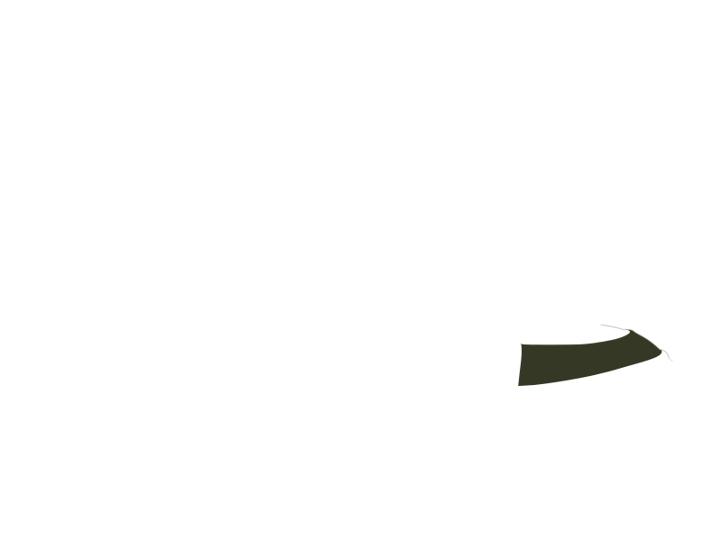 BIRCH LEATHER