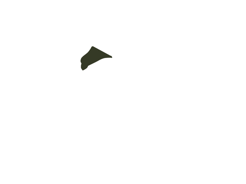 BIRCH LEATHER