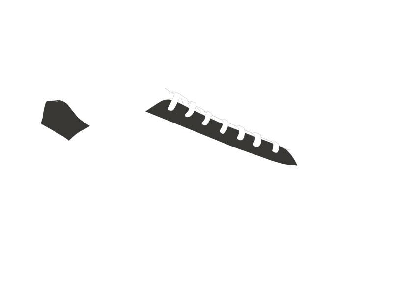 SHARK LEATHER