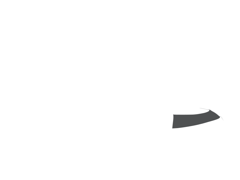 SCHIST LEATHER