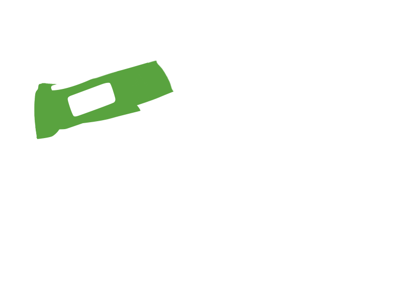 LIME LEATHER