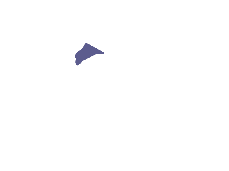 VIOLET LEATHER