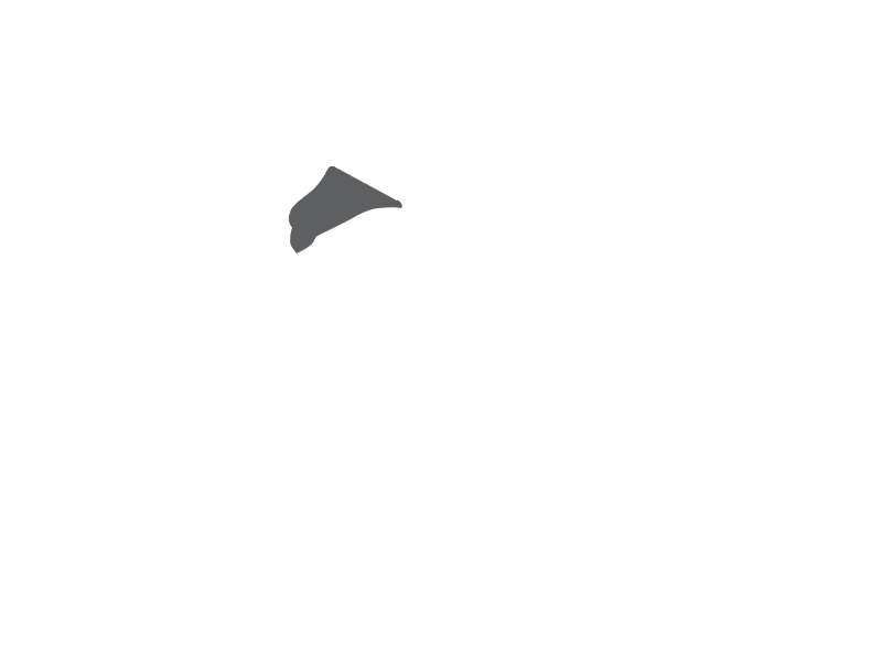 SCHIST LEATHER