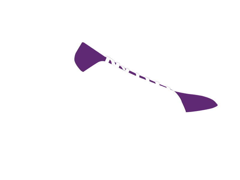 MAUVE LEATHER
