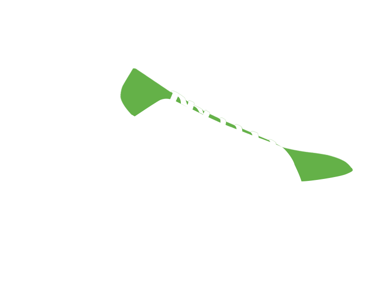 LIME LEATHER