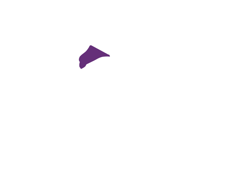 MAUVE LEATHER