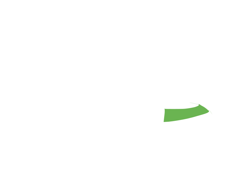LIME LEATHER