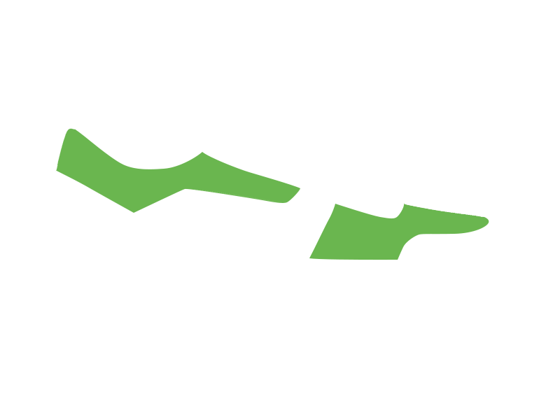 Lime Leather