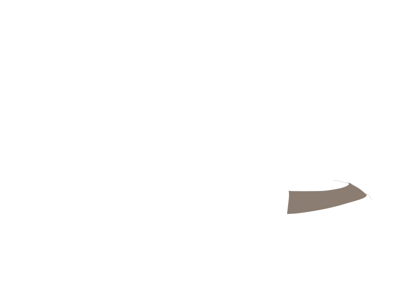 EARTH LEATHER