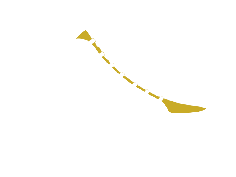 CANARY LEATHER
