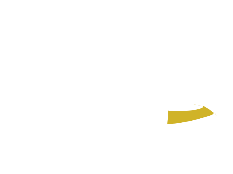 CANARY LEATHER