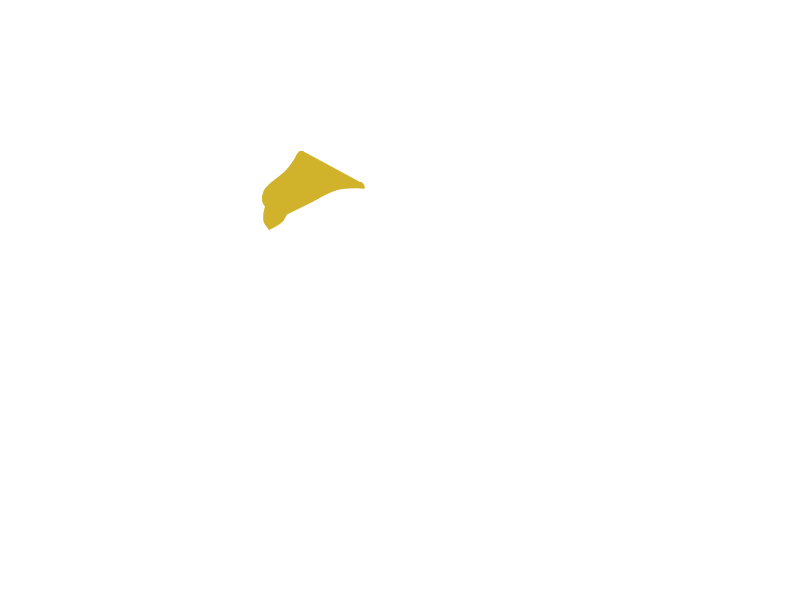 CANARY LEATHER