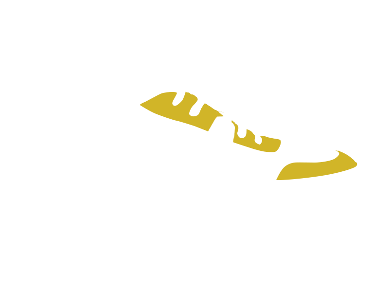 CANARY LEATHER