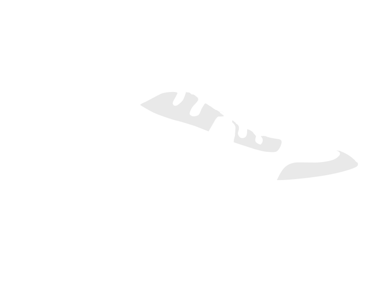 WHITE LEATHER