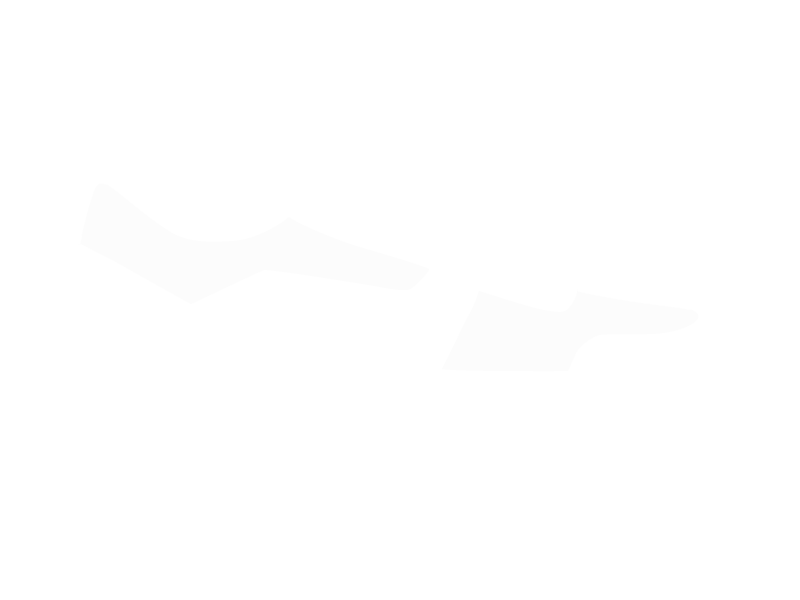 White Leather