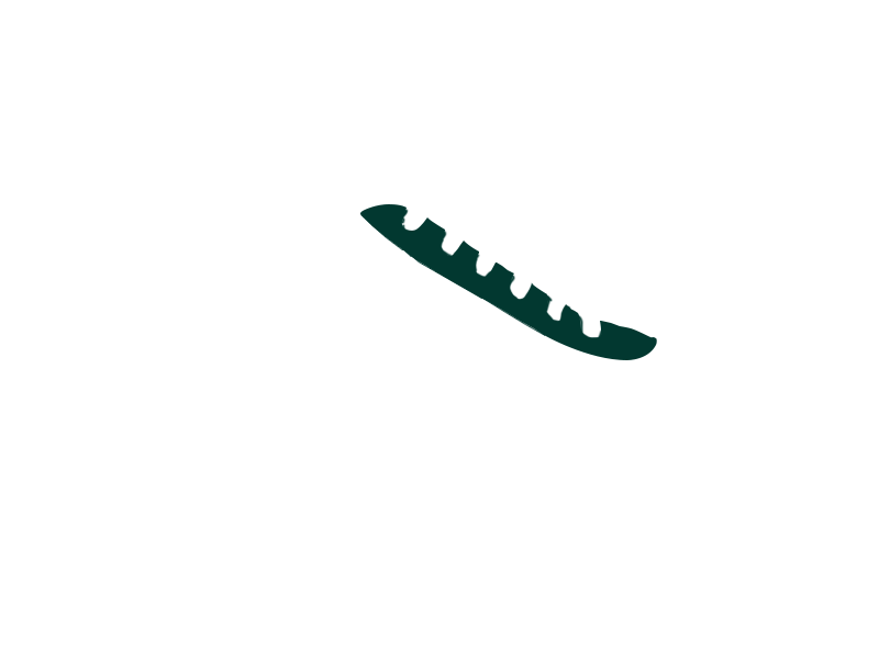 SERPENTINE LEATHER