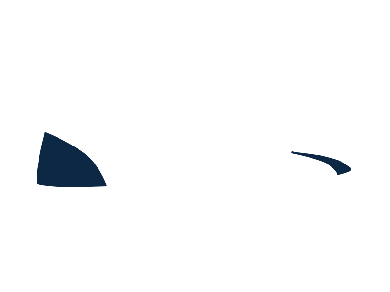 OCEANIA LEATHER