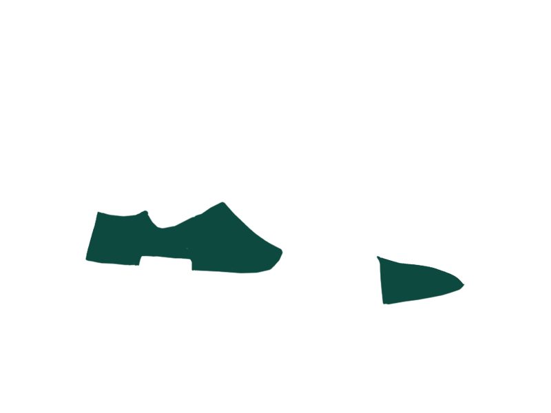 SERPENTINE LEATHER