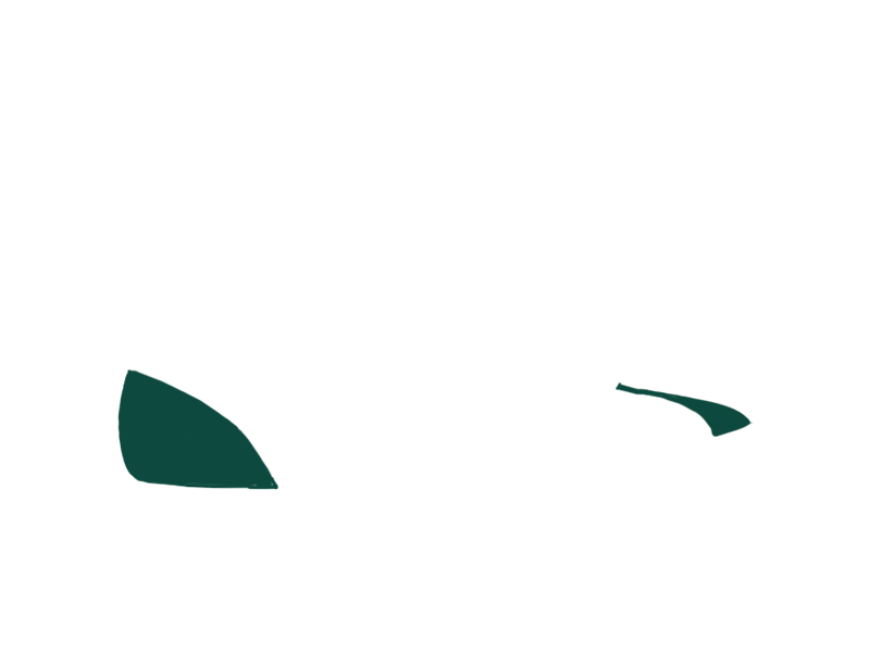 SERPENTINE LEATHER