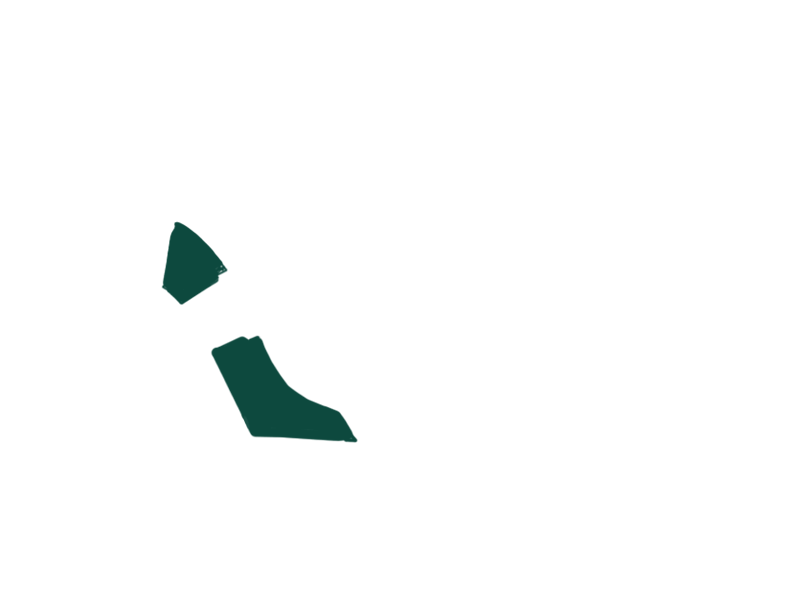 SERPENTINE LEATHER