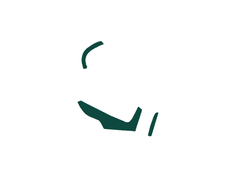 SERPENTINE LEATHER