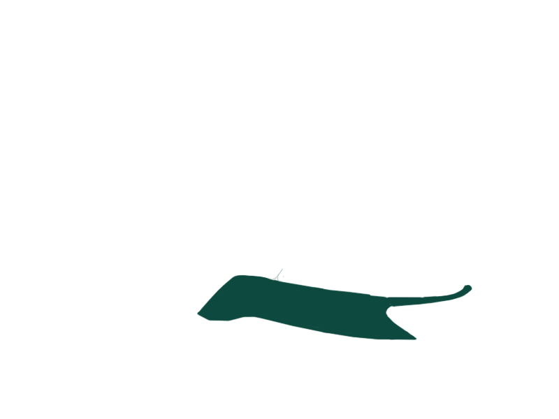 SERPENTINE LEATHER