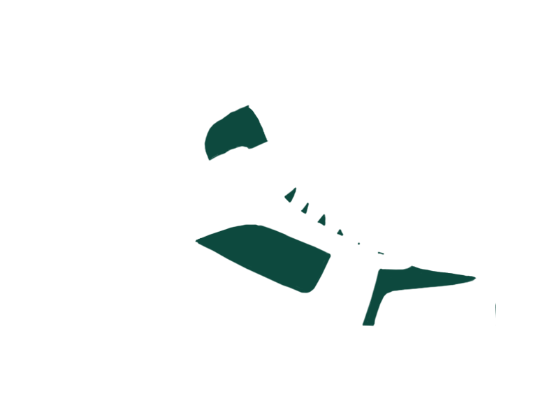 SERPENTINE LEATHER