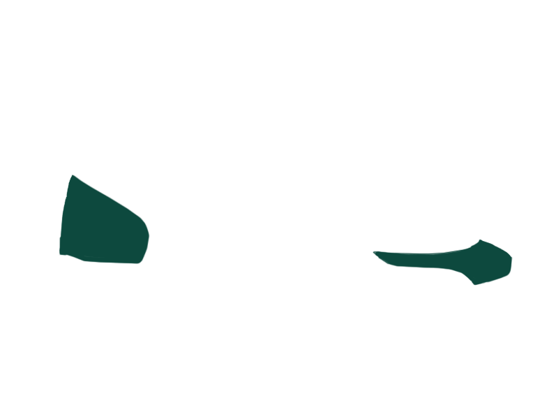 SERPENTINE LEATHER