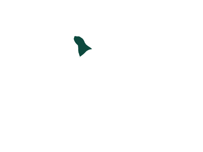 SERPENTINE LEATHER