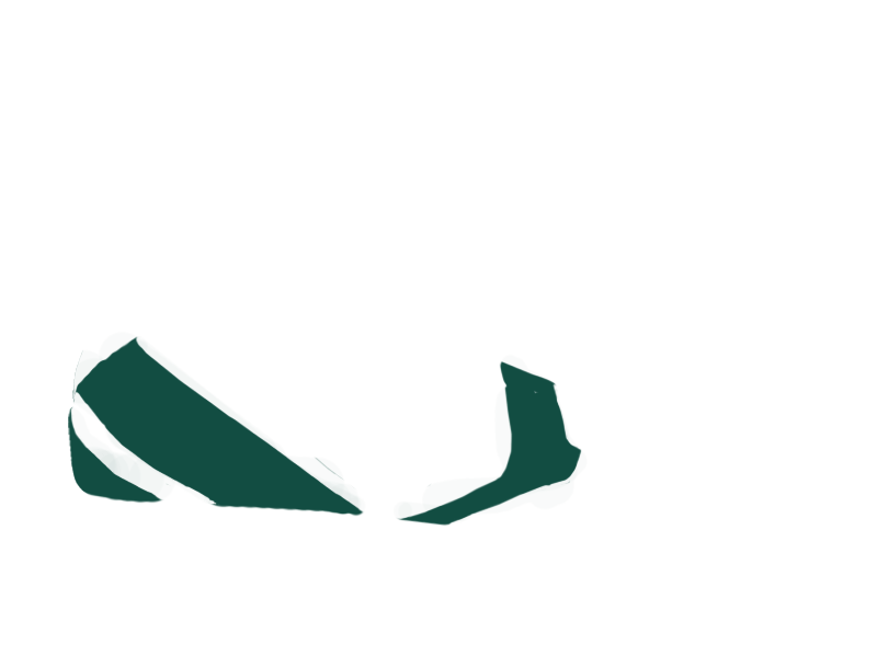 SERPENTINE LEATHER