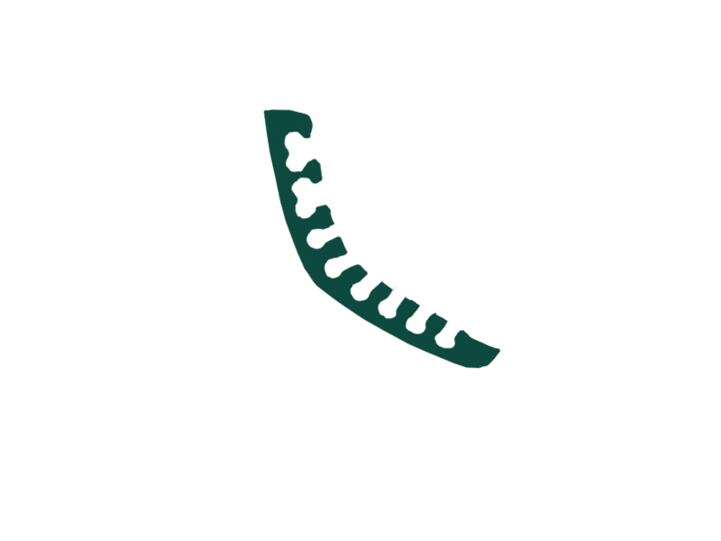 SERPENTINE LEATHER