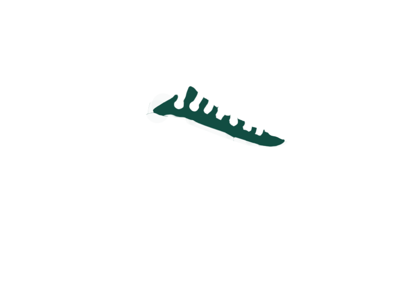 SERPENTINE LEATHER