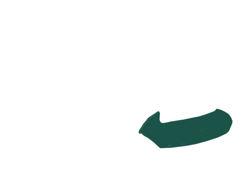 SERPENTINE LEATHER