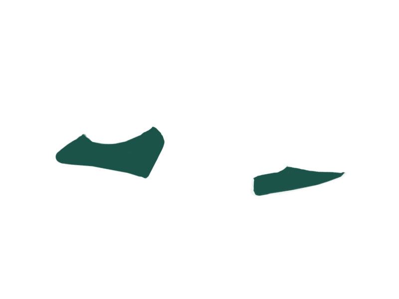 SERPENTINE LEATHER