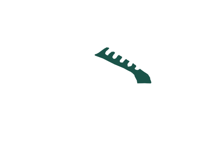 SERPENTINE LEATHER