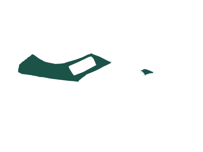 SERPENTINE LEATHER