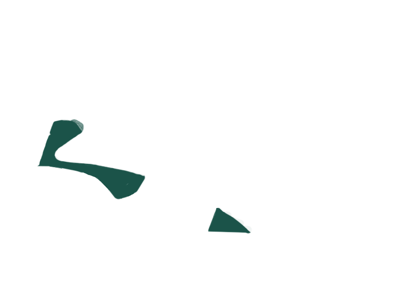 SERPENTINE LEATHER
