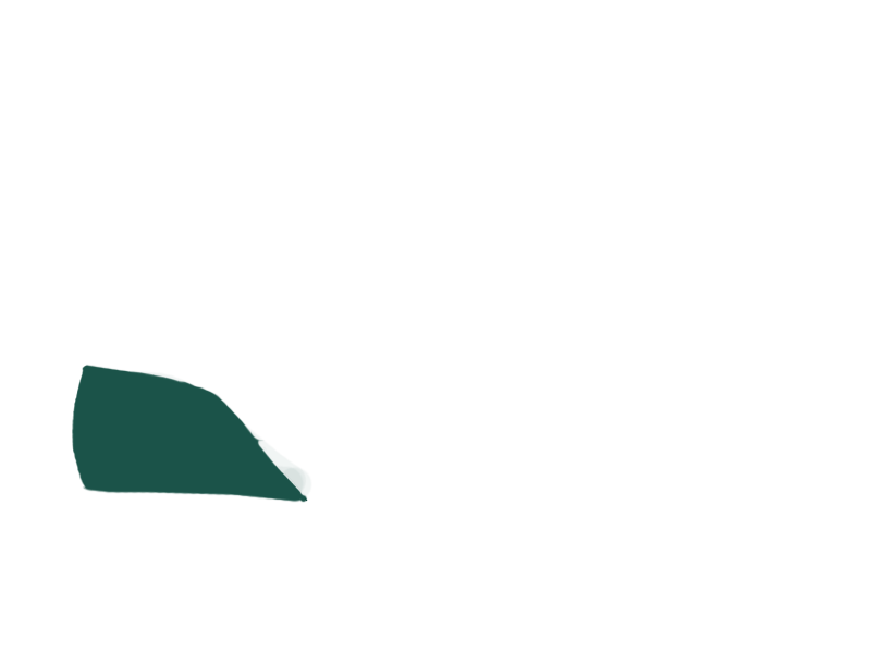 SERPENTINE LEATHER