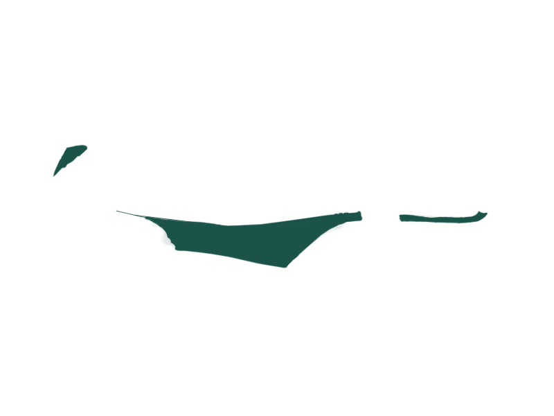 SERPENTINE LEATHER