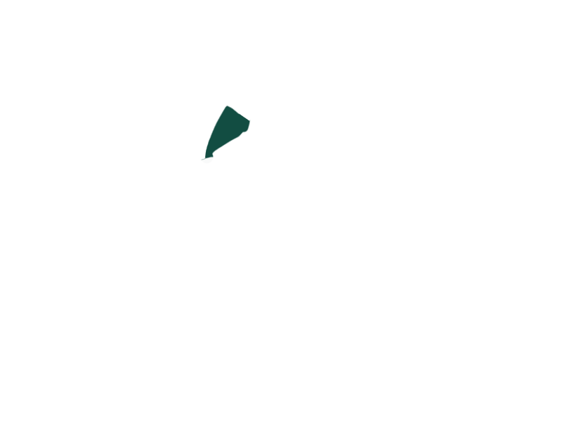 SERPENTINE LEATHER