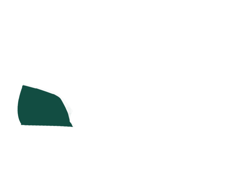 SERPENTINE LEATHER