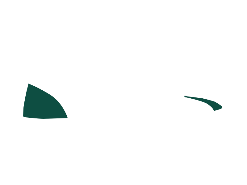 SERPENTINE LEATHER