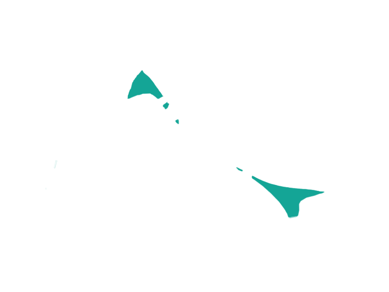 AQUATIC LEATHER