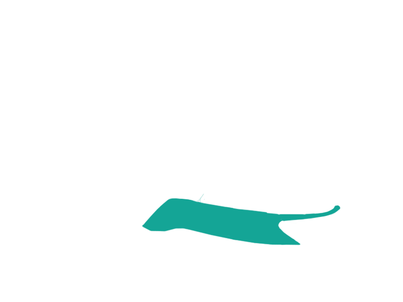 AQUATIC LEATHER