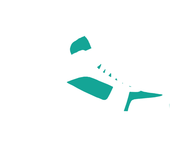 AQUATIC LEATHER